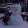 Snowman by night